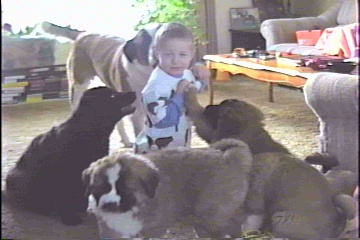 Mitch and pups